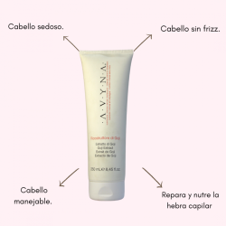 Di Goji Riconstruttore nutre y protege el cabello teñido 250ml - AVYNA